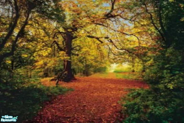 Sims 2 — Autumn Leaves by sadie7684 — A wall mural for your sims, can be found in wallpaper.