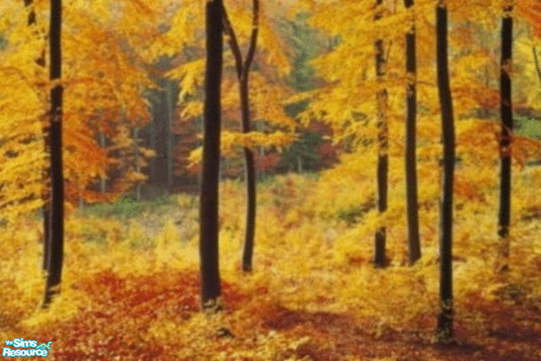 Sims 2 — Golden Leaves in the Fall by sadie7684 — A wall mural for your sims, can be found in wallpaper.