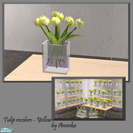 Sims 2 — Tulips recolor Yellow 3 by AnoeskaB — Yellow recolors of the Ankara Hall Tulips.