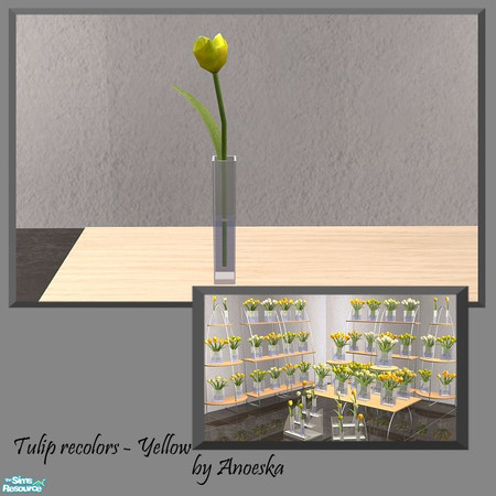 Sims 2 — Single Tulip recolor Yellow 2 by AnoeskaB — Yellow recolors of the Ankara Hall Tulips.
