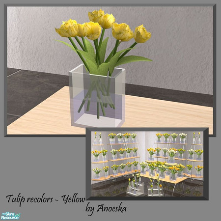 Sims 2 — Tulips recolor Yellow 5 by AnoeskaB — Yellow recolors of the Ankara Hall Tulips.