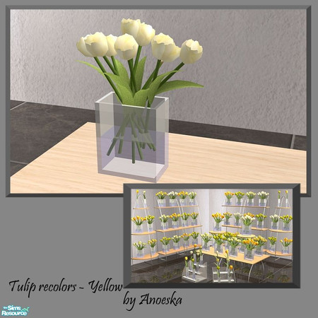 Sims 2 — Tulips recolor Yellow 4 by AnoeskaB — Yellow recolors of the Ankara Hall Tulips.