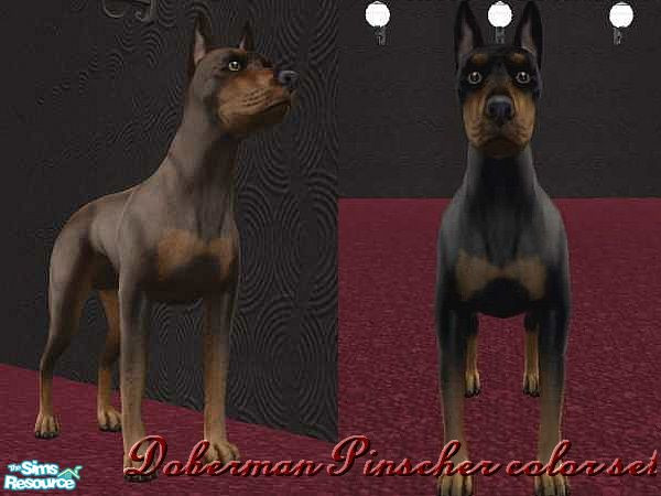Sims 2 — Doberman Pinscher color set by horsegirl4ever2 —  This set includes 2 doberman pinscher colors such as the red