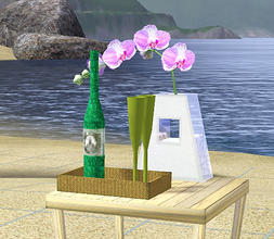 Sims 3 — Outdoor Living PB Tray by TheNumbersWoman — A nice little cheap decoration for the Outdoor Living Set. Made by