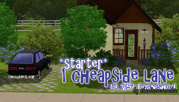 Sims 3 — 1 Cheapside Lane by thunderscrunchie — This is a one bedroom starter home perfect for a single sim or a young