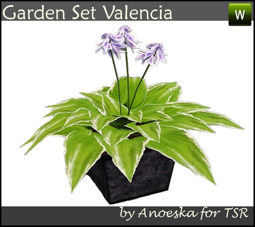 Sims 3 — Valencia Hosta by AnoeskaB — New plant: Hosta with flowers. The flowers can also be recolored. Part of the