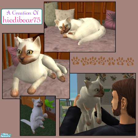 Sims 2 — Pudding (by hiedibear75) by hiedibear75 — Just like pudding she\'s silky smooth & very sweet. Pudding take