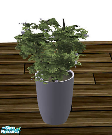 Sims 2 — Dining free!  - Pot with Herbs 01 by Sasilia — 
