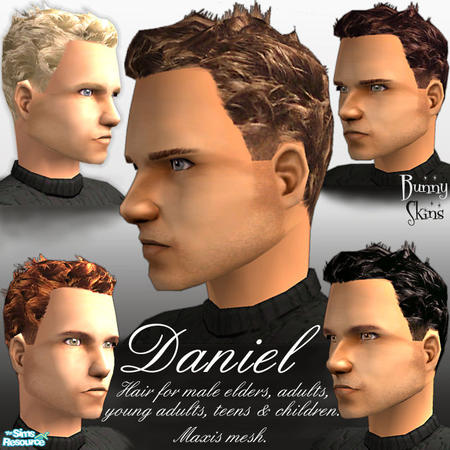 Sims 2 — Daniel by BunnyTSR — A tousled recolour of my favourite Maxis male hair mesh in five realistic shades: black,