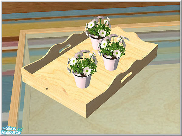 Sims 2 — B43 Traywithflowers Recol1 by Birgit43 — 