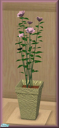 Sims 2 — NK TC50 Arizona LR - Potted Roses by MoMama — A green textured pot holds some pretty pink roses.