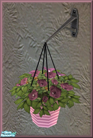 Sims 2 — NK TC50 Arizona LR - Hanging Plant Stripes by MoMama — A hanging plant with dark pink flowers in a pink striped
