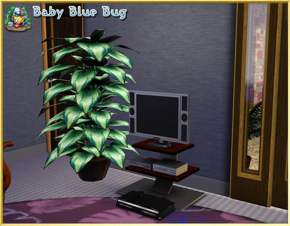 Sims 3 — bbb Tropical Hosta Plant by babybluebug — Tropical Hosta Plant is a new object plant found in buy mode,