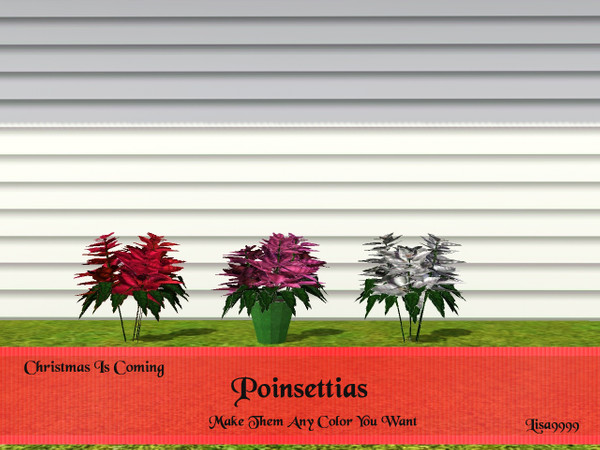Sims 3 — Poinsettia by lisa9999 — Plant poinsettia, unpotted. Lisa9999 TSRAA Use the "moveobjects on"