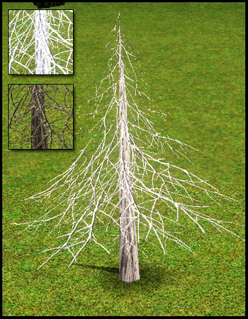 Sims 3 — XMas Market Pine Tree 2 by sim_man123 — PineTree 2, Made by sim_man123 from TSR. XMas TSR 2009. TSRAA