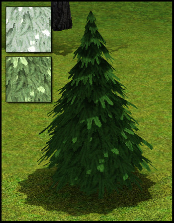 Sims 3 — XMas Market Pine Tree 1 by sim_man123 — Pine Tree 1, made by sim_man123 from TSR. XMas TSR 2009. TSRAA