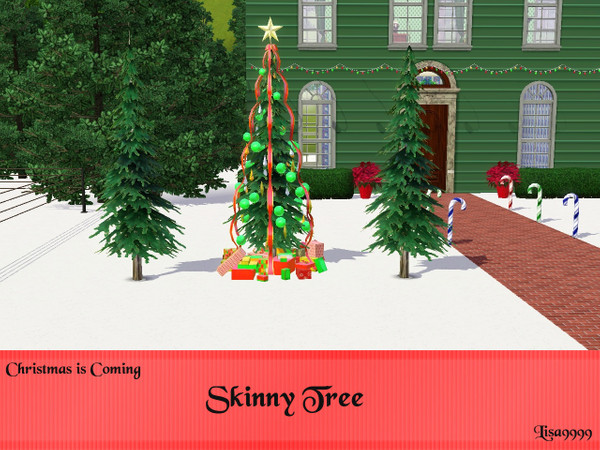 Sims 3 — Skinny Tree by lisa9999 — Skinny Pine Tree. Lisa9999 TSRAA Use moveobjects on cheat for ornaments.