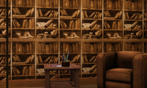 Sims 3 — books 2 by abuk0 — books 2