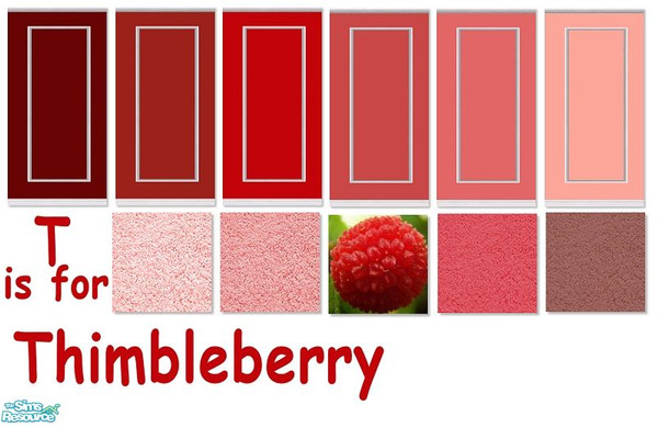 Sims 2 — T is for Thimbleberry by Bittersweet_Symphony — Walls and floors in colors found in a Thimbleberry. 