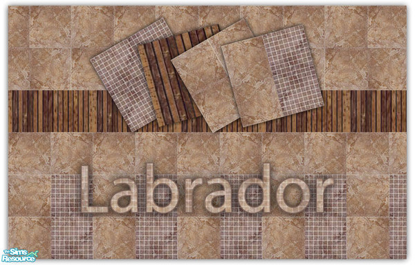 Sims 2 — Labrador 2 by drikka_tulipa — Collection \"Labrador\"