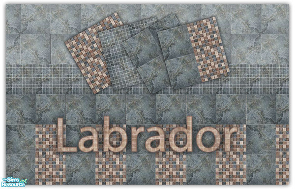 Sims 2 — Labrador 4 by drikka_tulipa — Collection \"Labrador\"