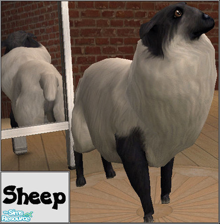 Sims 2 — Sheep by Scrawffler — No Sim farm is complete without one of these. Even if this sheep does think it's a dog, it