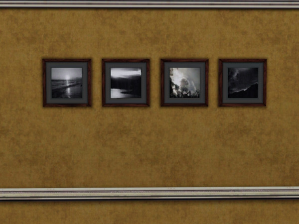 Sims 3 — Black and White Beach Photos by jadepanther198303 — Painting photo series of black and white beach scenes