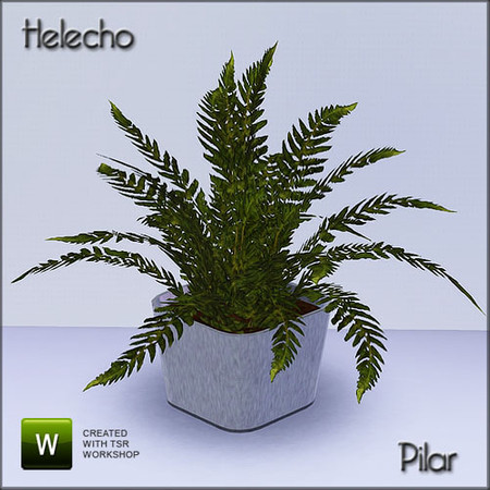 Sims 3 — Helecho by Pilar — Creado por Pilar para los sims3