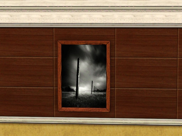 Sims 3 — black and white photo 2 by jadepanther198303 — Wall Art