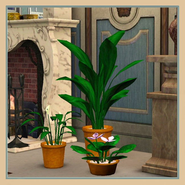 The Sims Resource Plants