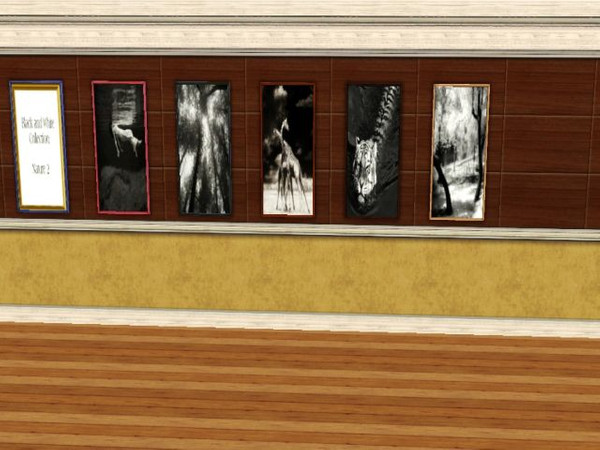 Sims 3 — Black and White Photo Collection: Nature 2 by jadepanther198303 — For anyone who gets tired of hundreds of
