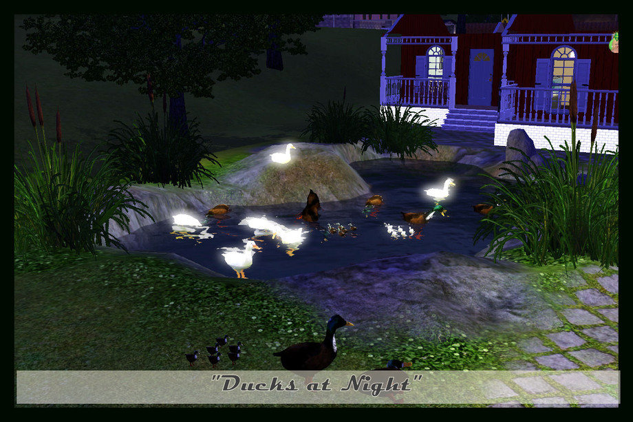 The Sims Resource Ducks for Land and Water