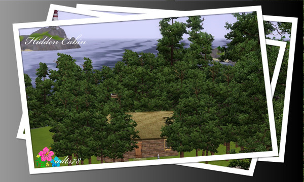 Sims 3 — Hidden Cabin by adts78 — This cabin is hidden in the woods and has everything your solitary outdoorsy sim needs.