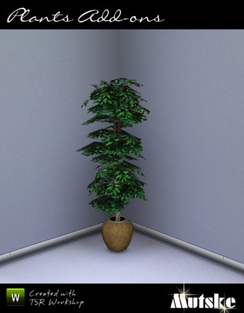 Sims 3 — Medium Ficus by Mutske — 2 Recolorable parts. 4 Variations. Made by Mutske@TSR. TSRAA.