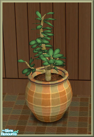 Sims 2 — NK Blakely BR Plant by MoMama — A subdued checked pot with an over-green plant.