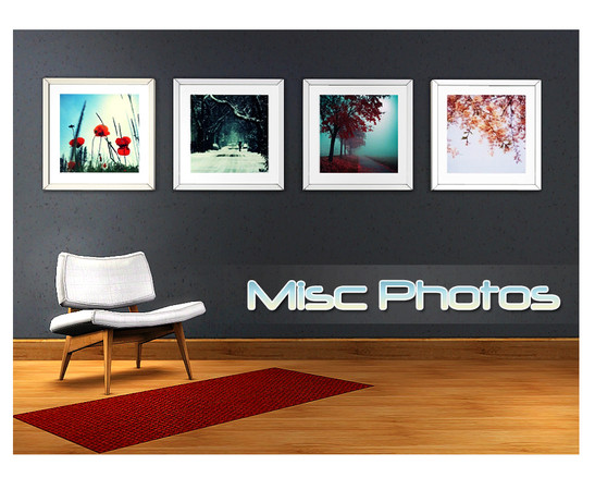 Sims 3 — Misc Photos by bunnshee — Frames can be recolored. :3