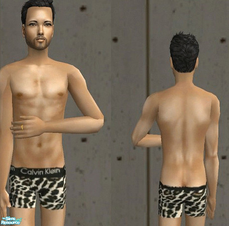 Sims 2 — \'The Night after\' - Male by TSR Archive — \'The Night After\' - A set of two \'Calvin Klein\' underwears