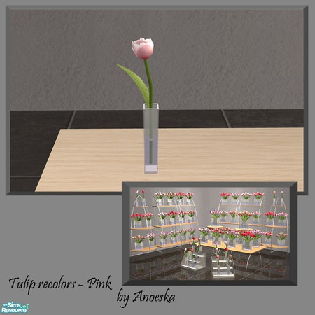 Sims 2 — Single Tulip Recolor Pink 5 by AnoeskaB — Pink recolor of the Ankara Hall Tulips.