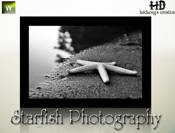 Sims 3 — Starfish Photography  by haiduong — This painting will be perfect in your sim's bedroom. It will give a peaceful