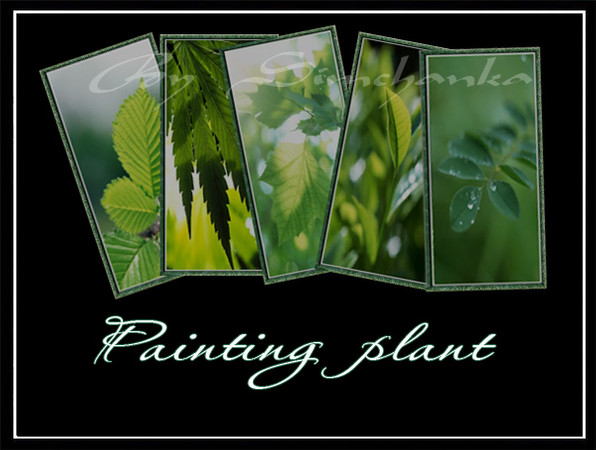 Sims 3 — Simchanka_Painting_ plant by Simchanka — By Simchanka