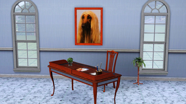 Sims 3 — Afghan hound2 by tit_ferr — Afghan hound2