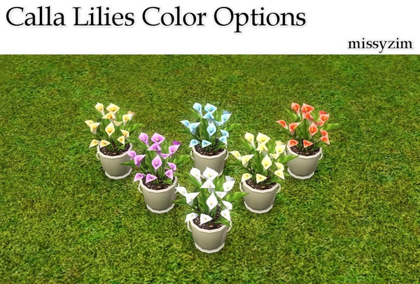 Sims 3 — MZ_calla lillies_color options by missyzim — Six new color options for the EA calla lilies. As with the