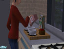 Sims 2 — Quaker Oats Brand Organic Oatmeal by punkrockbeezie7 — Now your Sims can have the yummy taste and healthier