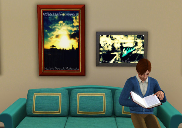 Sims 3 — Psychotic Serenade Photo Set by duckeggpie — By Duckeggpie for Valerie The Butterfly costs 225, Another