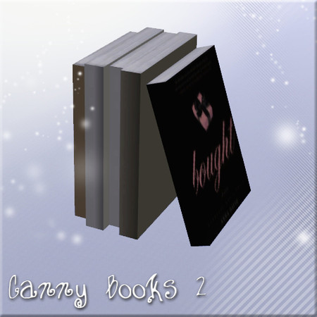 Sims 3 — Canny-Books 2 by Nia — Canny-Books 2