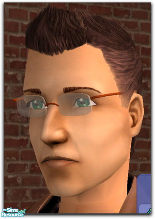 Sims 2 — Copper Satin Frames - Thin by macgirlffx — This is the drill mount frame with a satin copper finish.