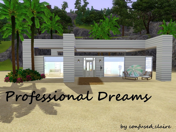 Sims 3 — Professional Dreams by confused_claire — This stunning 1 bedroom home is perfect for your young adults who are