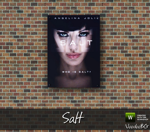 Sims 3 — Salt Poster by VoodooBG — Salt Poster