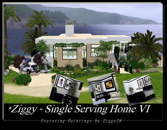 Sims 3 — Ziggy... Single Serving Home VI by thethomas04 — This Beutiful 1 bedroom 1 Guest Room Home for the Riich Sim who