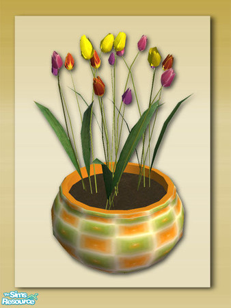 Sims 2 — Summer Days Extras: TulipPot by Shakeshaft — Part of a set of Patio Pots and Planters to compliment my Summer